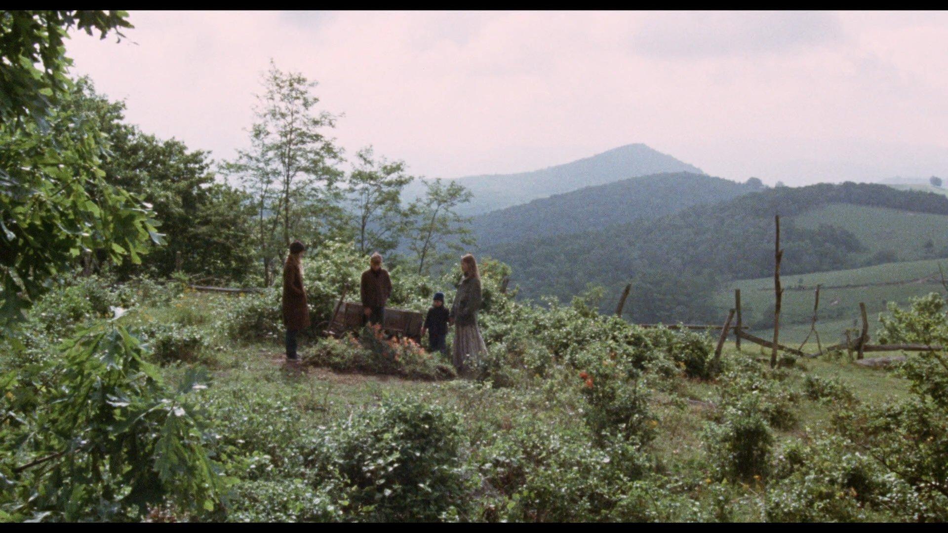 Where the Lilies Bloom 1974 movie scene