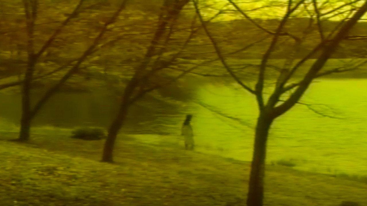 Sensual Forest Beauty 2002 movie scene