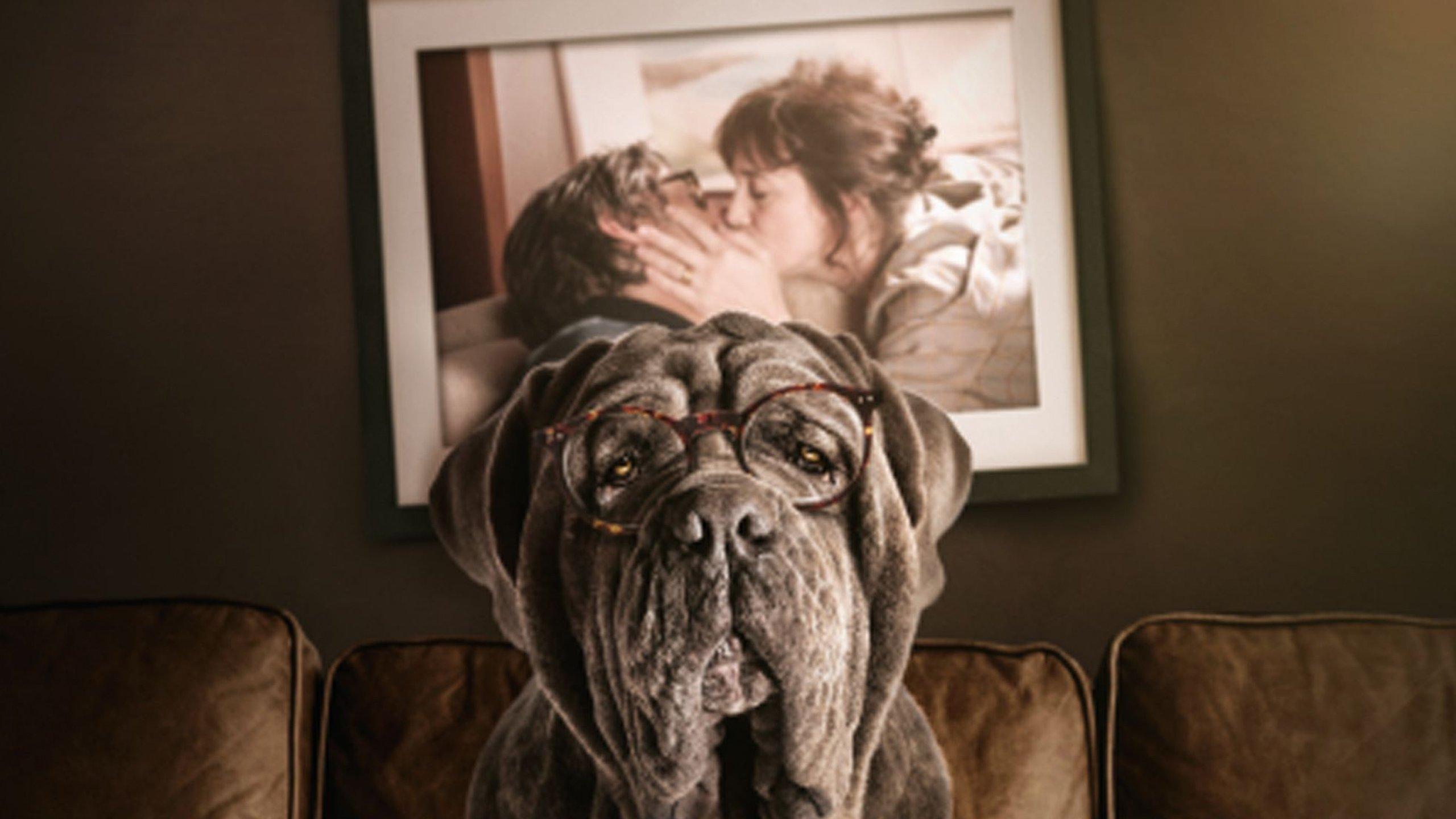 My Dog Stupid 2019 movie scene