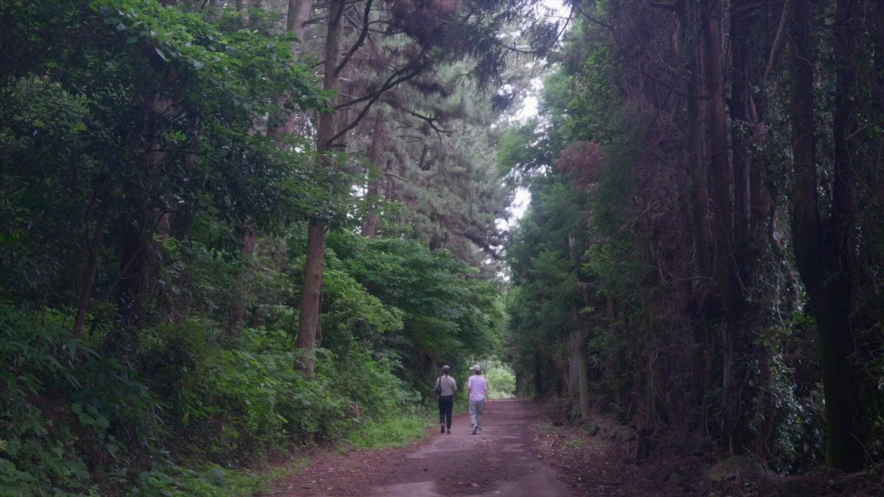 The Time of Jeju 2025 movie scene