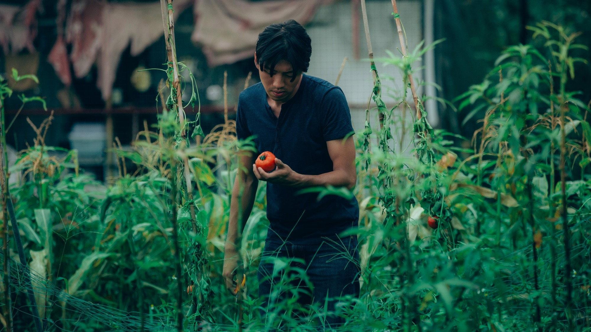 Taste Of Tomato 2019 movie scene