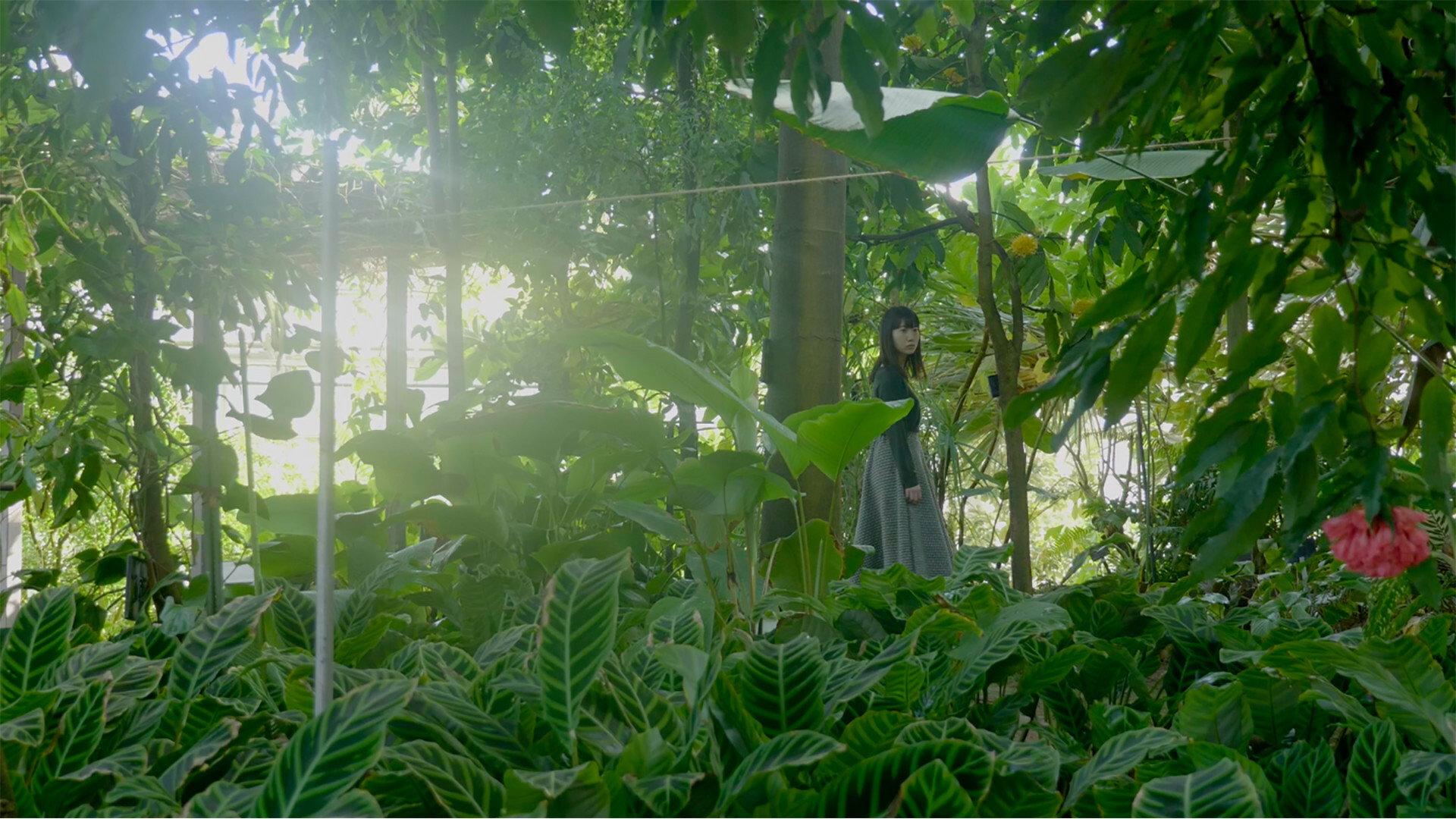 The Wandering Plants 2019 movie scene
