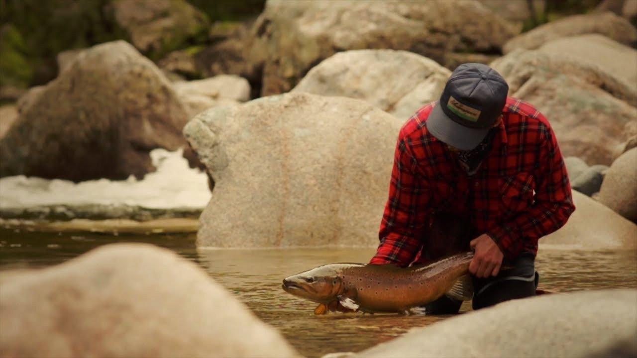 Only the River Knows 2012 movie scene