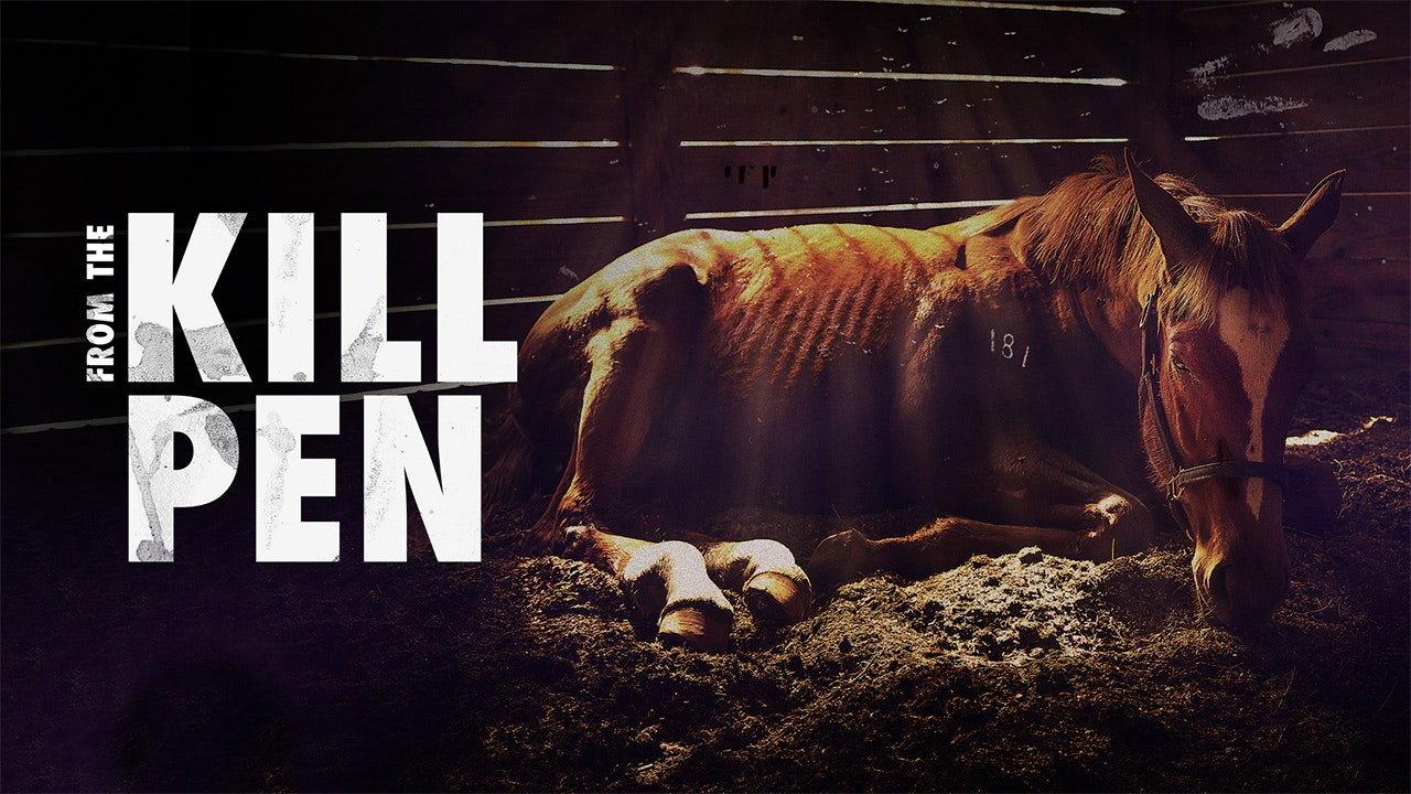 From the Kill Pen 2016 movie scene