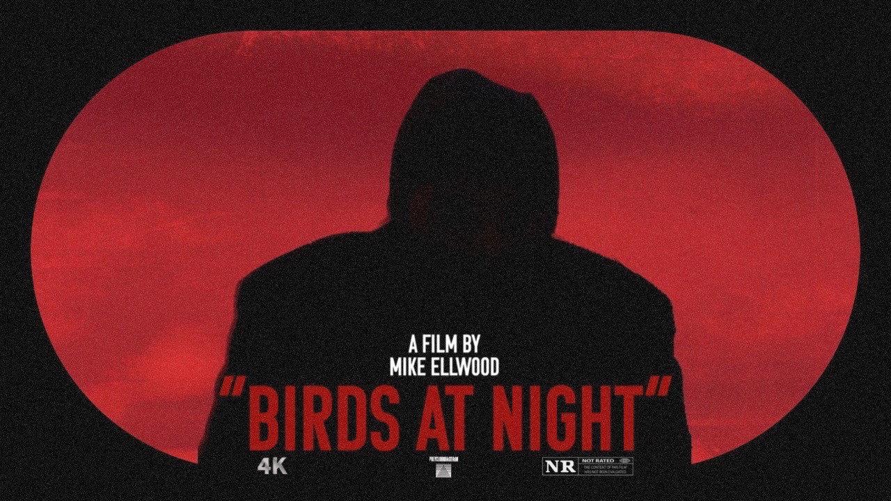 Birds at Night 2024 movie scene