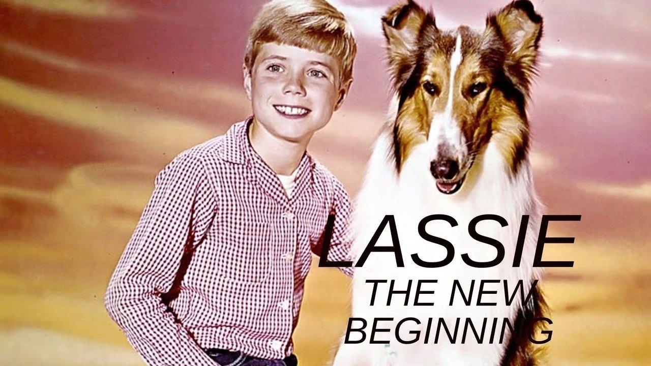 Lassie: The New Beginning 1978 movie scene