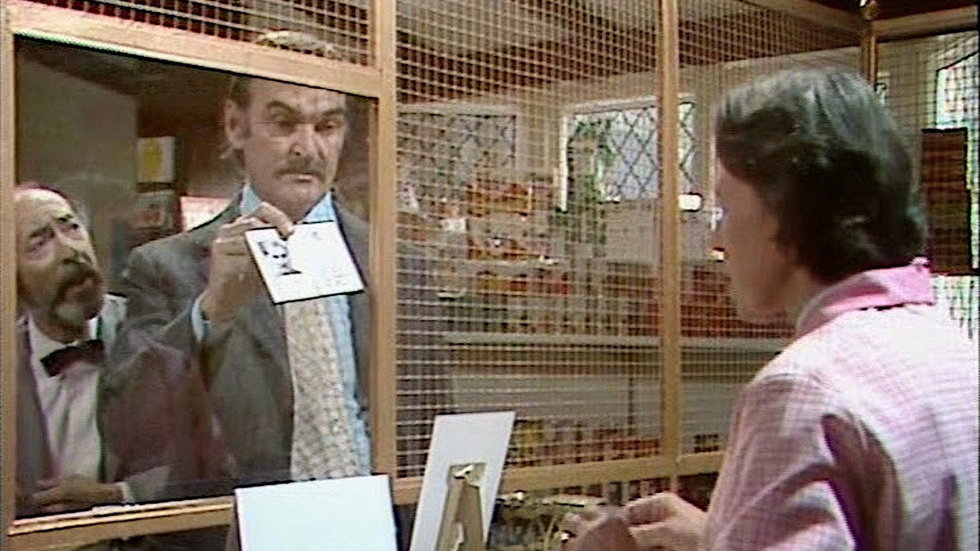 Who Killed Lamb? 1974 movie scene