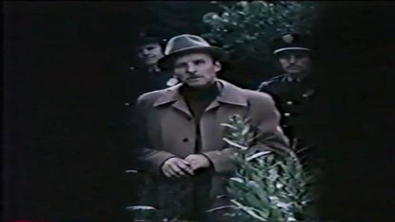 Boomerang 1981 movie scene
