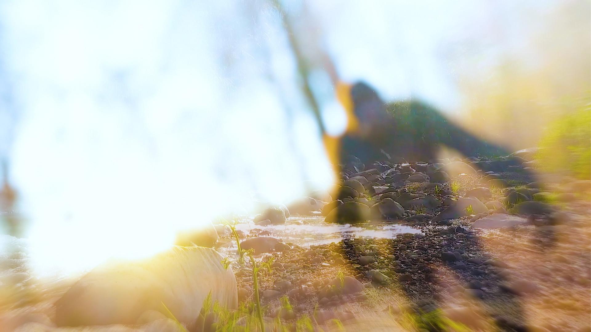 On The Trail of Bigfoot: The Last Frontier 2022 movie scene