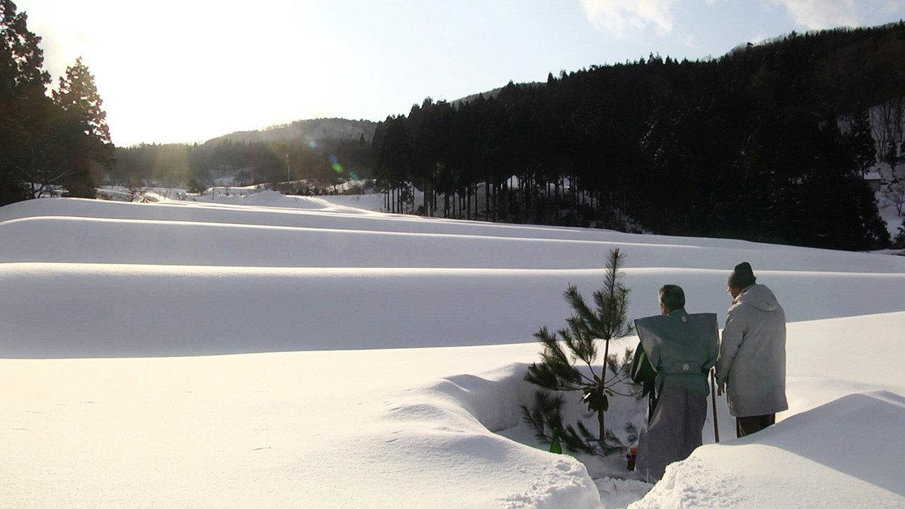 The Genealogy of Sake 2015 movie scene
