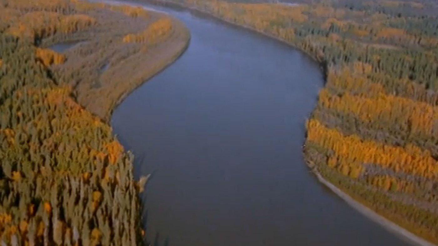 Footprints in the Delta 1999 movie scene