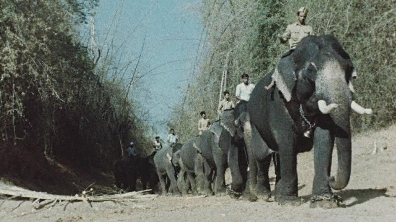 India: Matri Bhumi 1960 movie scene