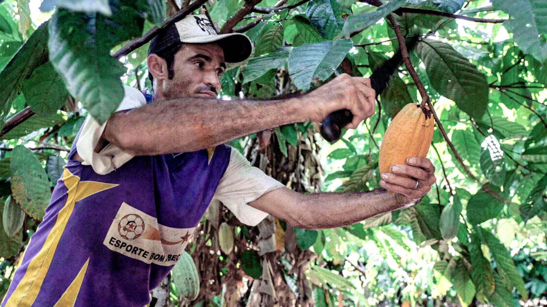 Du Chocolat Pour Sauver l'Amazonie 2022 movie scene
