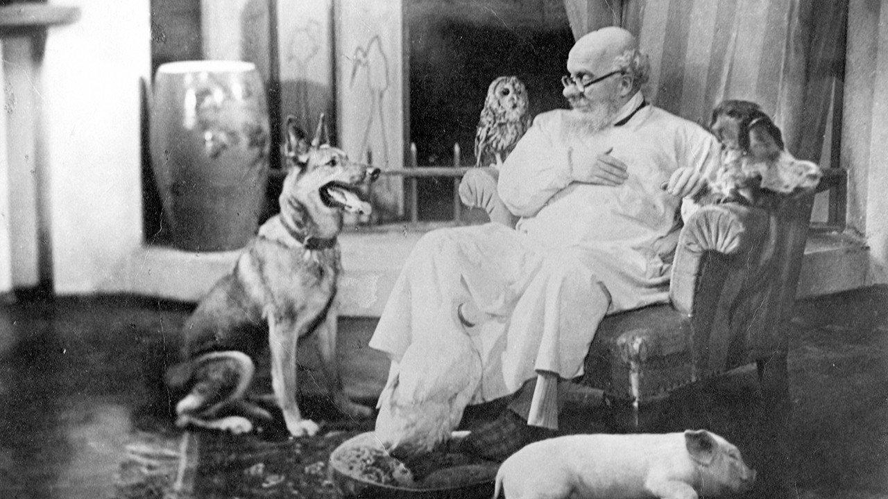 Doctor Aybolit 1938 movie scene