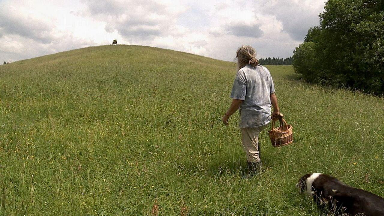 Auf der Suche nach Heilern 2014 movie scene