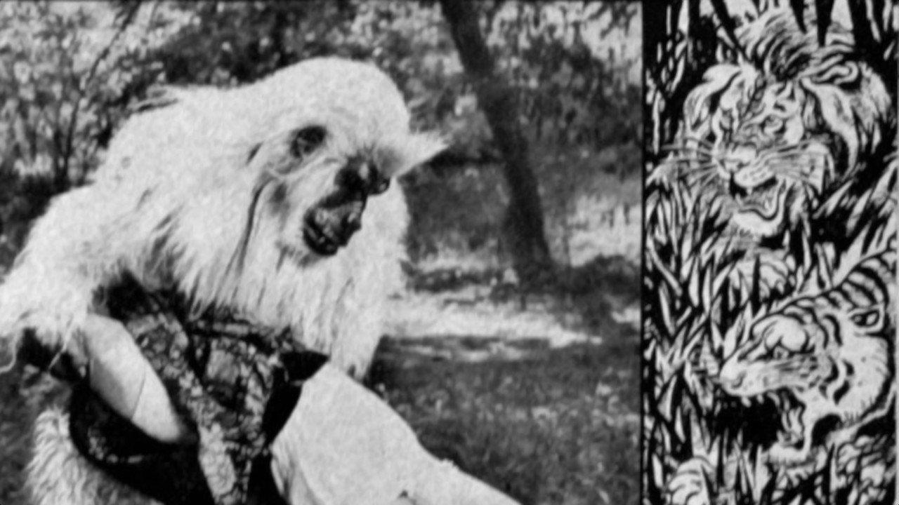 The White Gorilla 1945 movie scene