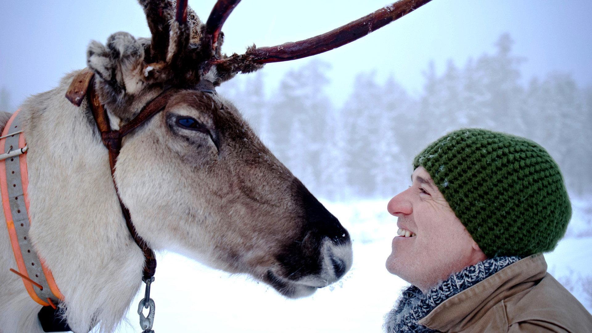 Reindeer Family & Me 2017 movie scene