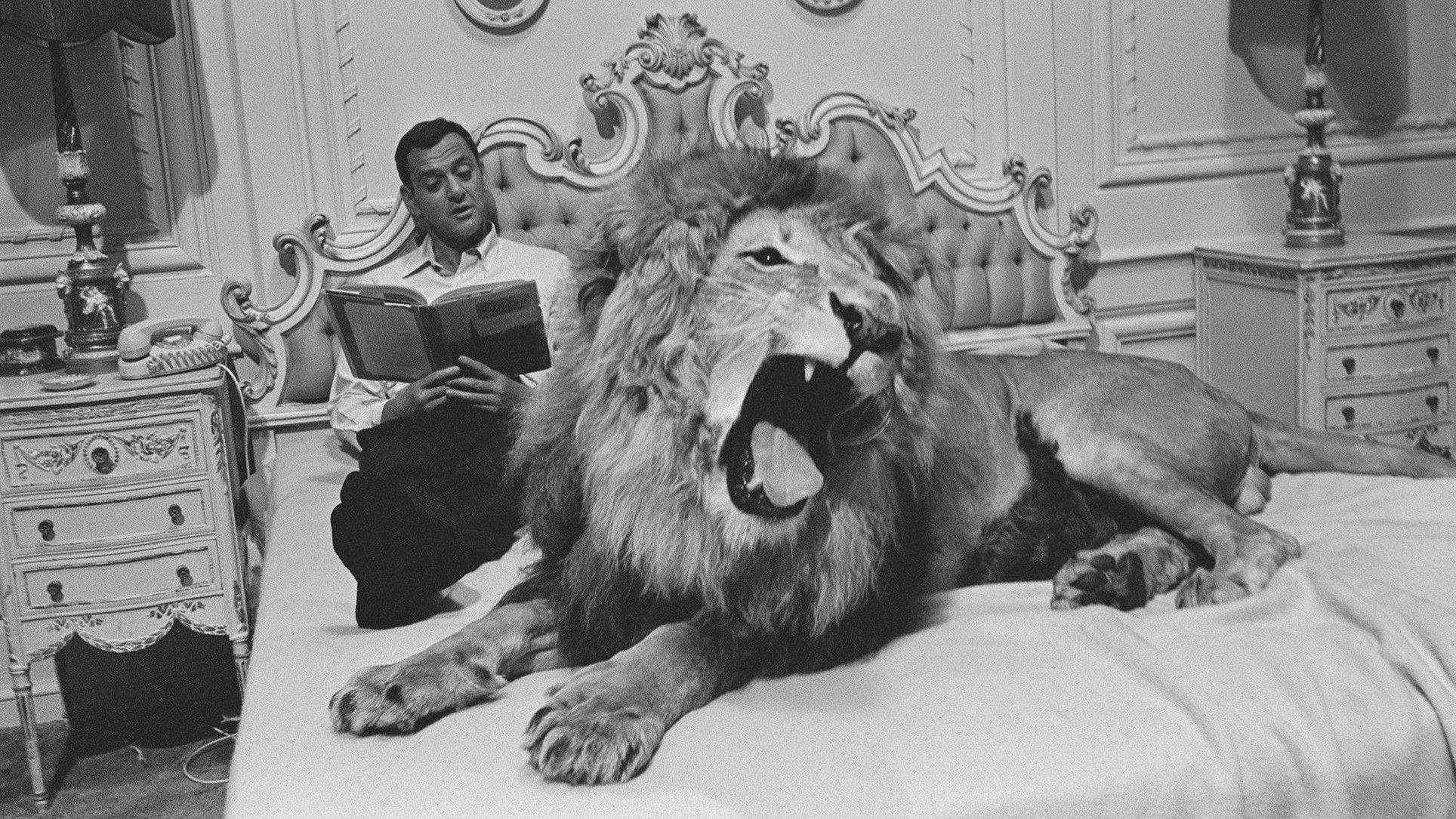 Fluffy 1965 movie scene