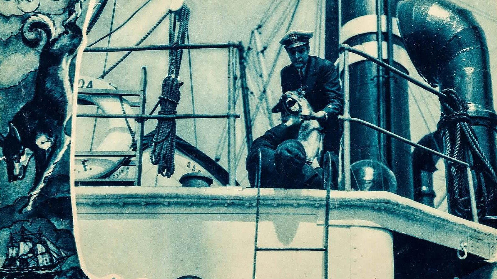 The Wolf Dog 1933 movie scene