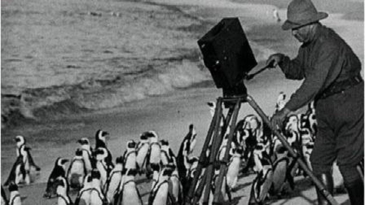 With Cherry Kearton in the Jungle 1926 movie scene