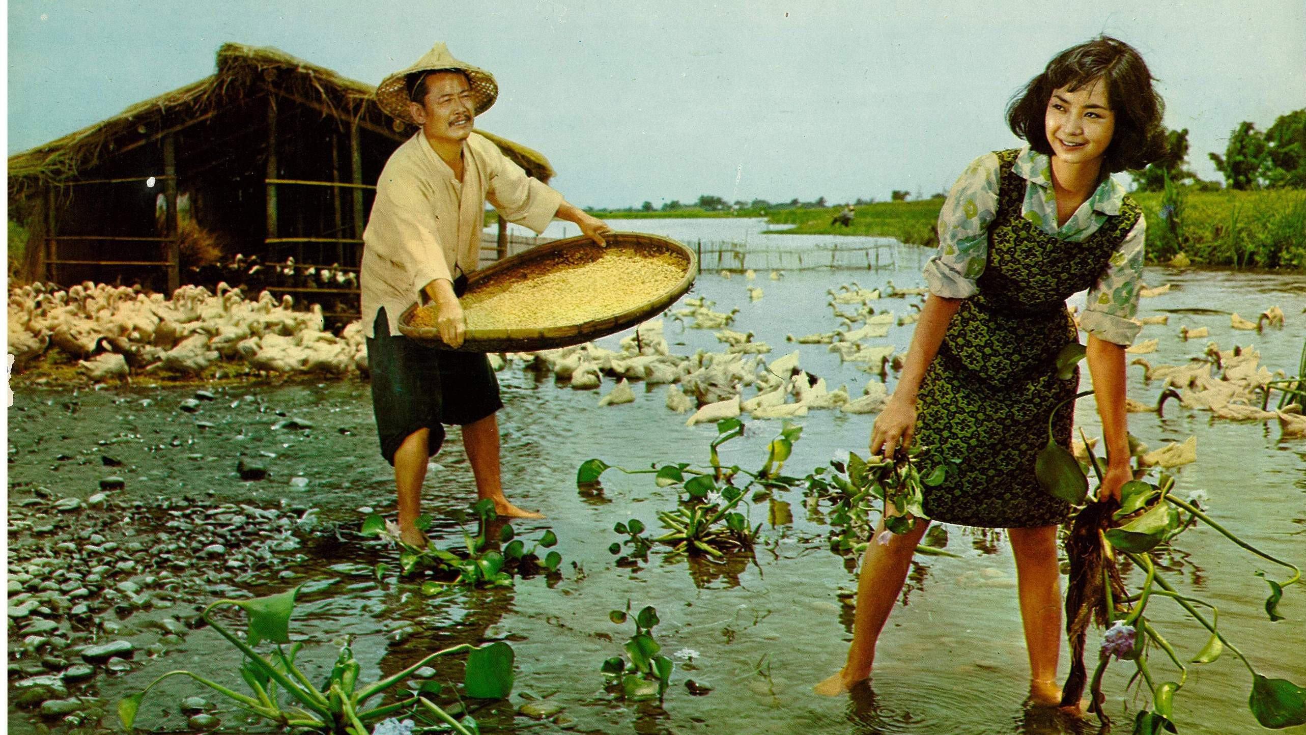 Beautiful Duckling 1965 movie scene