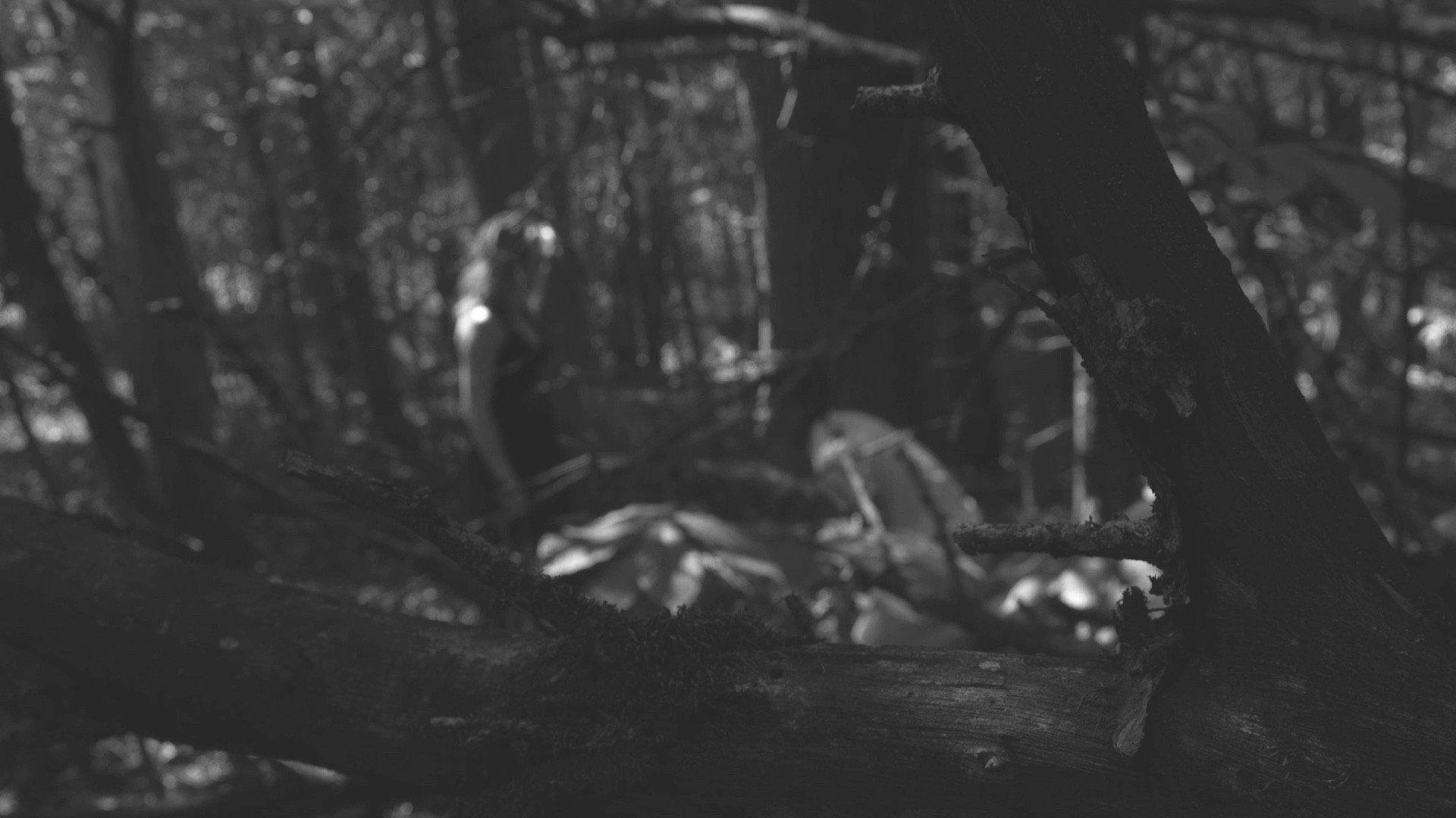 The Poet 2023 movie scene