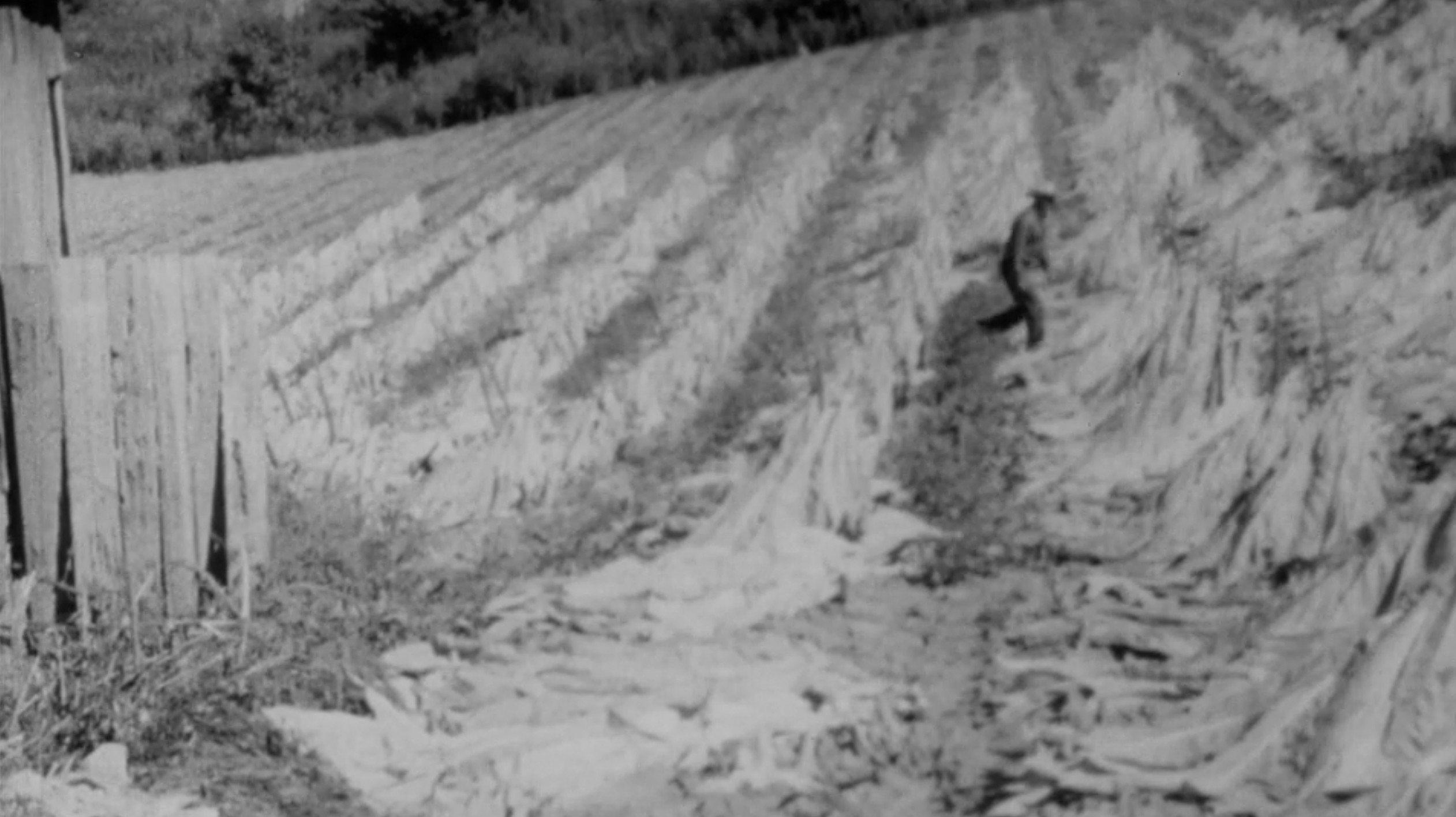 The End of an Old Song 1969 movie scene