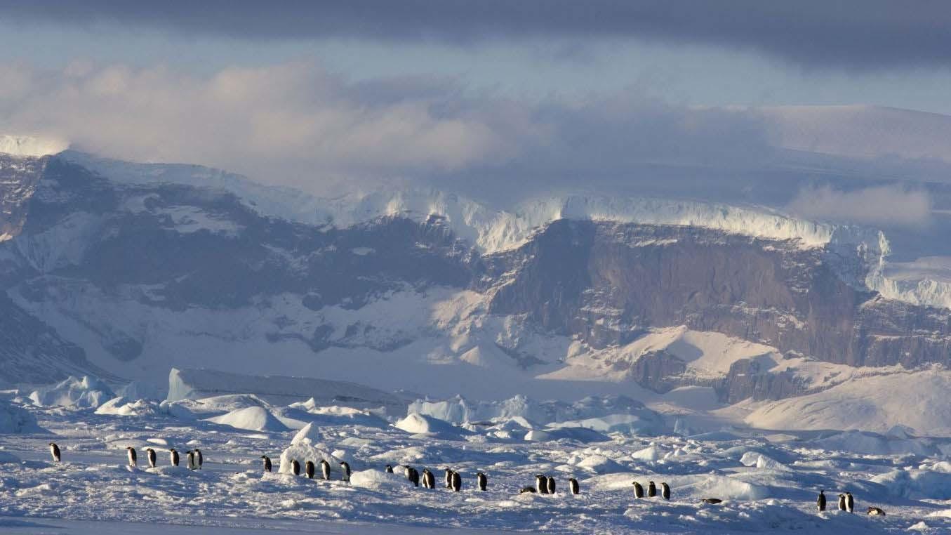 March of the Penguins 2: The Next Step 2017 movie scene