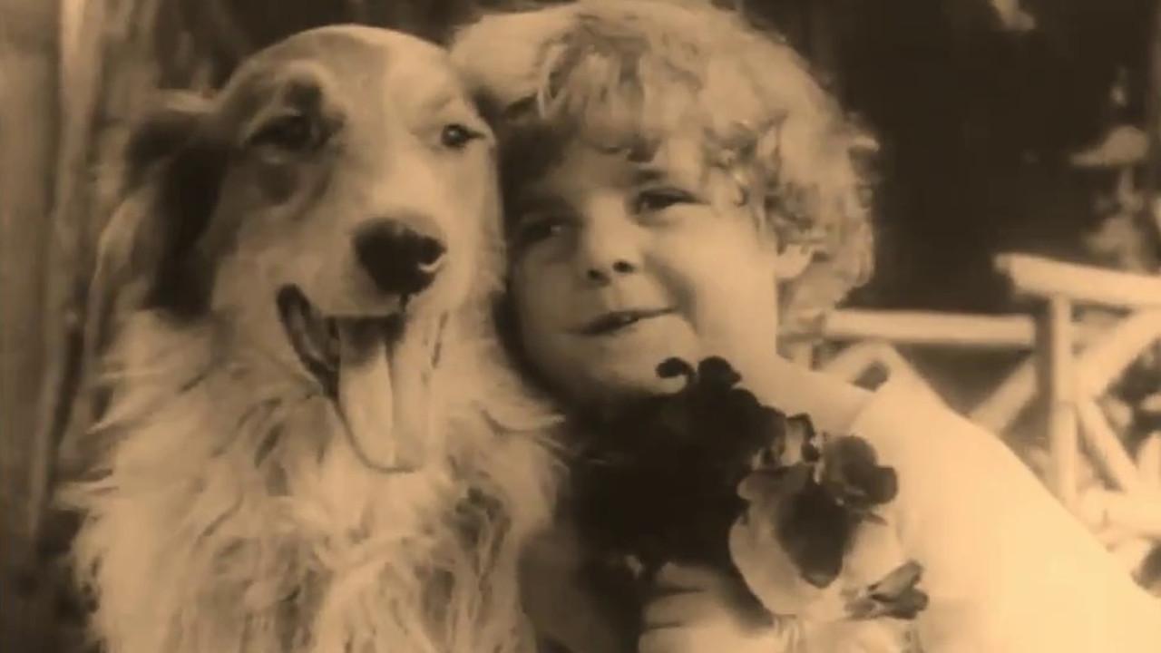 A Dog's Love 1914 movie scene