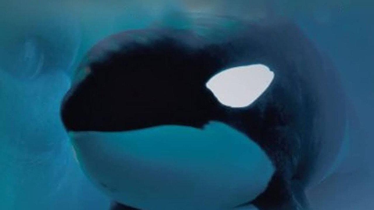 Keiko: The Untold Story 2010 movie scene