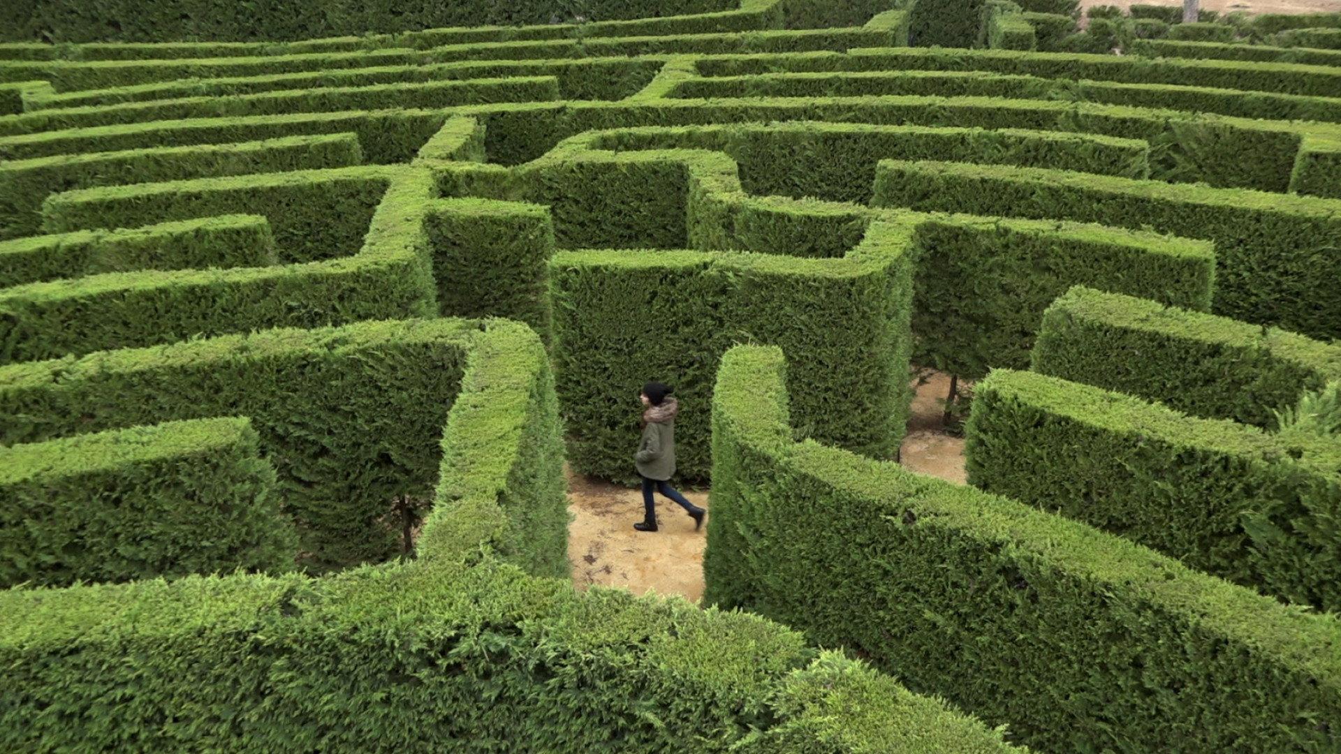 Labyrinths 2017 movie scene
