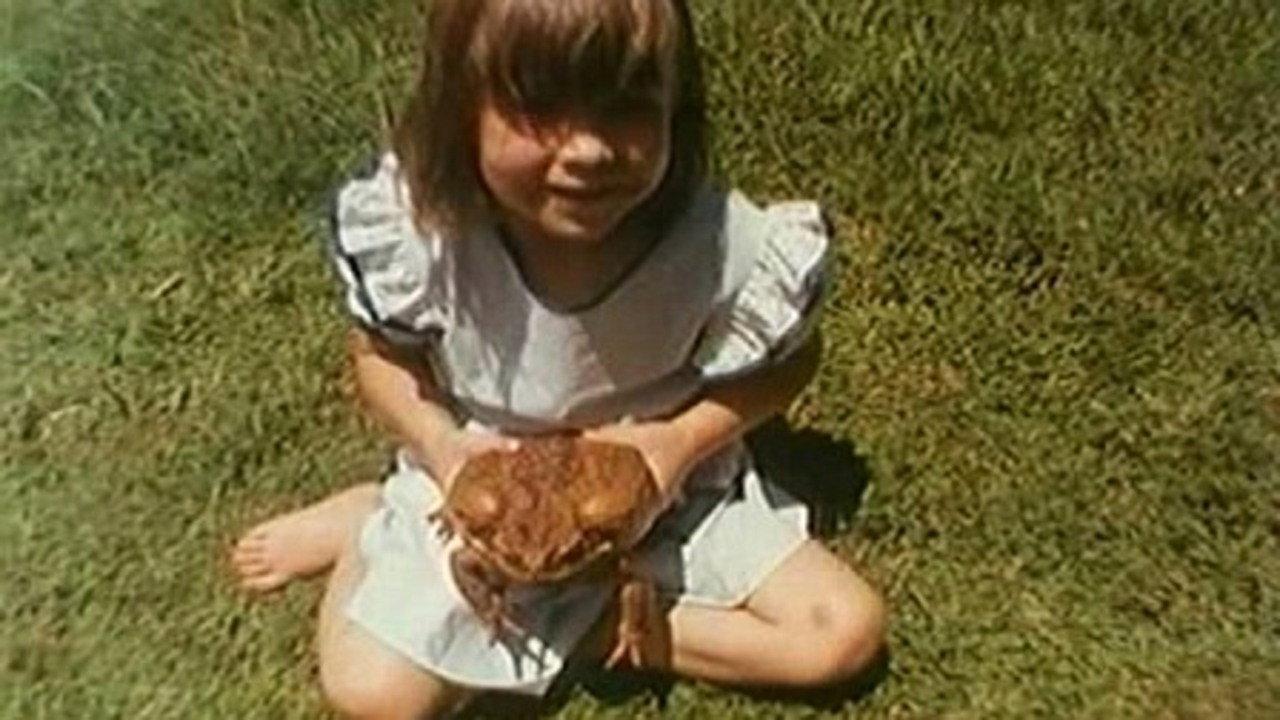 Cane Toads: An Unnatural History 1988 movie scene