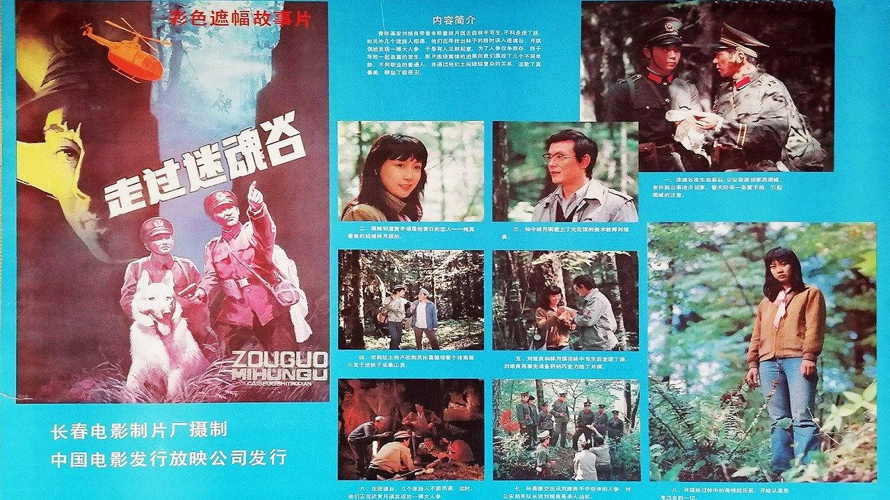 Go Through A Magic Valley 1987 movie scene
