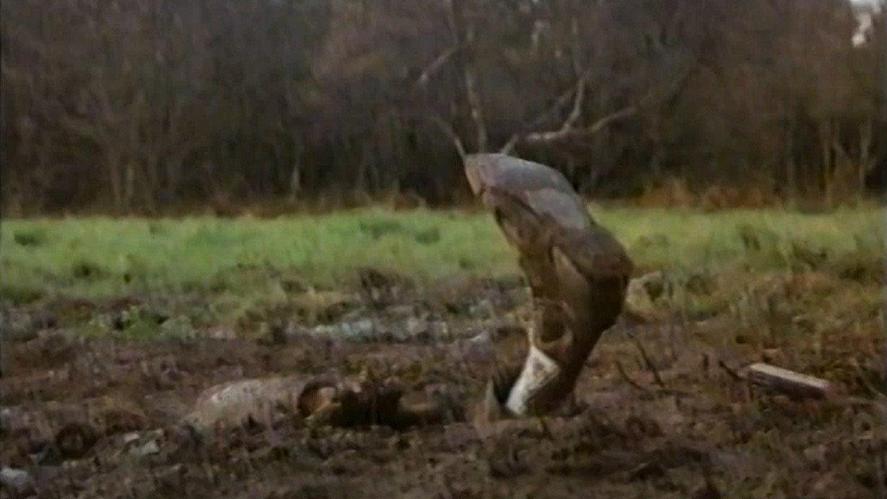 Out of Town 1988 movie scene