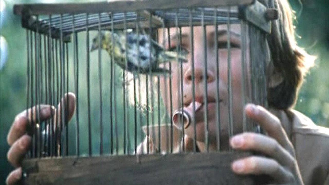 Memento Mori 1991 movie scene