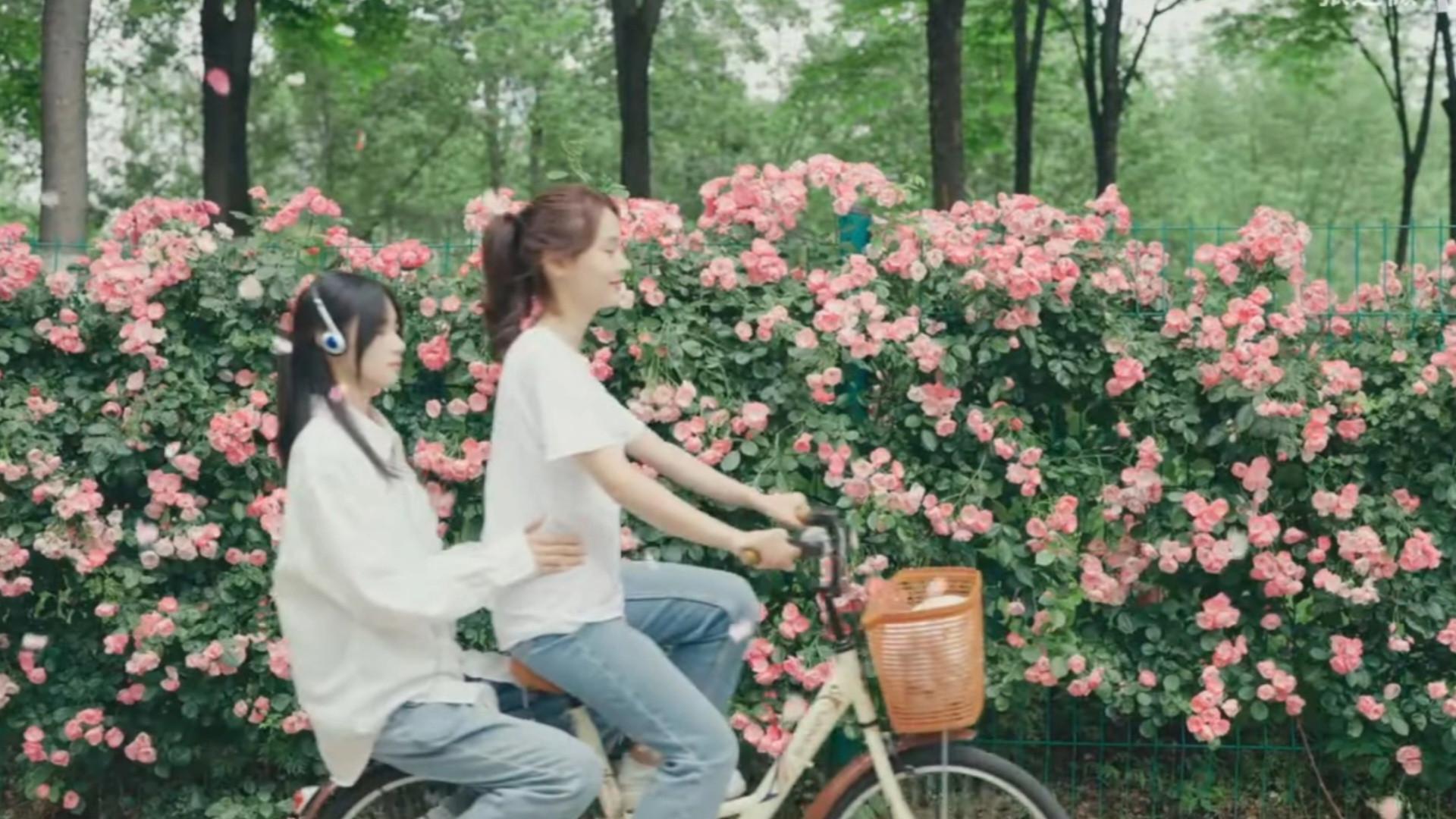 You Who Are Lost With the Wind 2023 movie scene