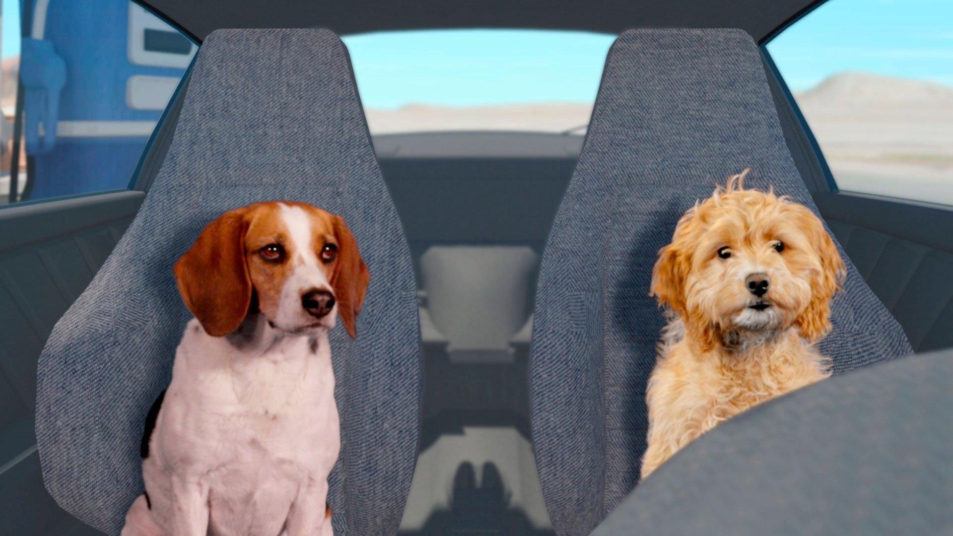 Fast and Furriest 2017 movie scene