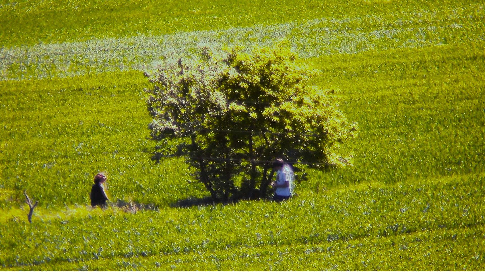 "Ta Gueule" 2023 movie scene