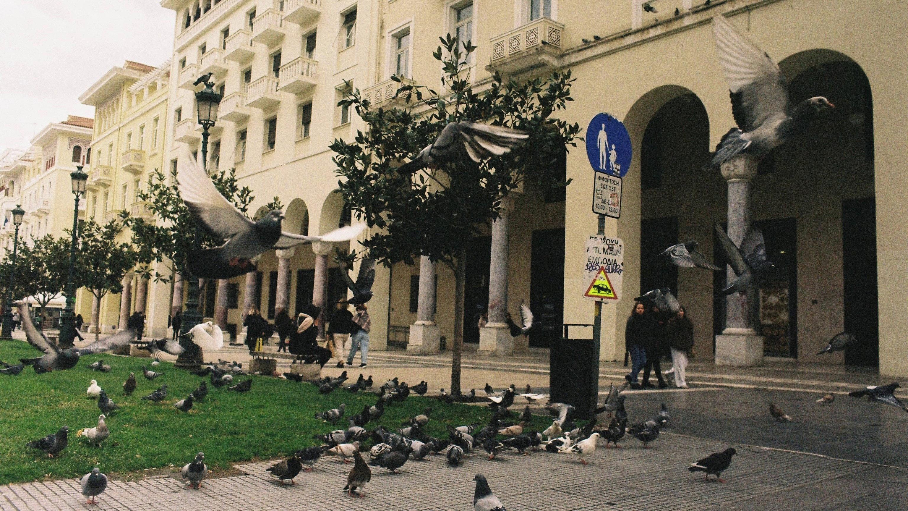 26.1.26 movie scene
