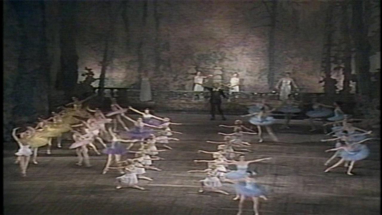 Don Quixote (Kirov Ballet) 2004 movie scene