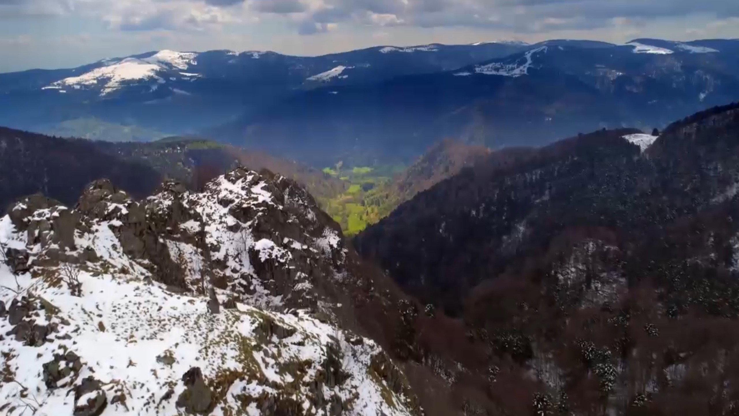 Wildes Elsass 2018 movie scene
