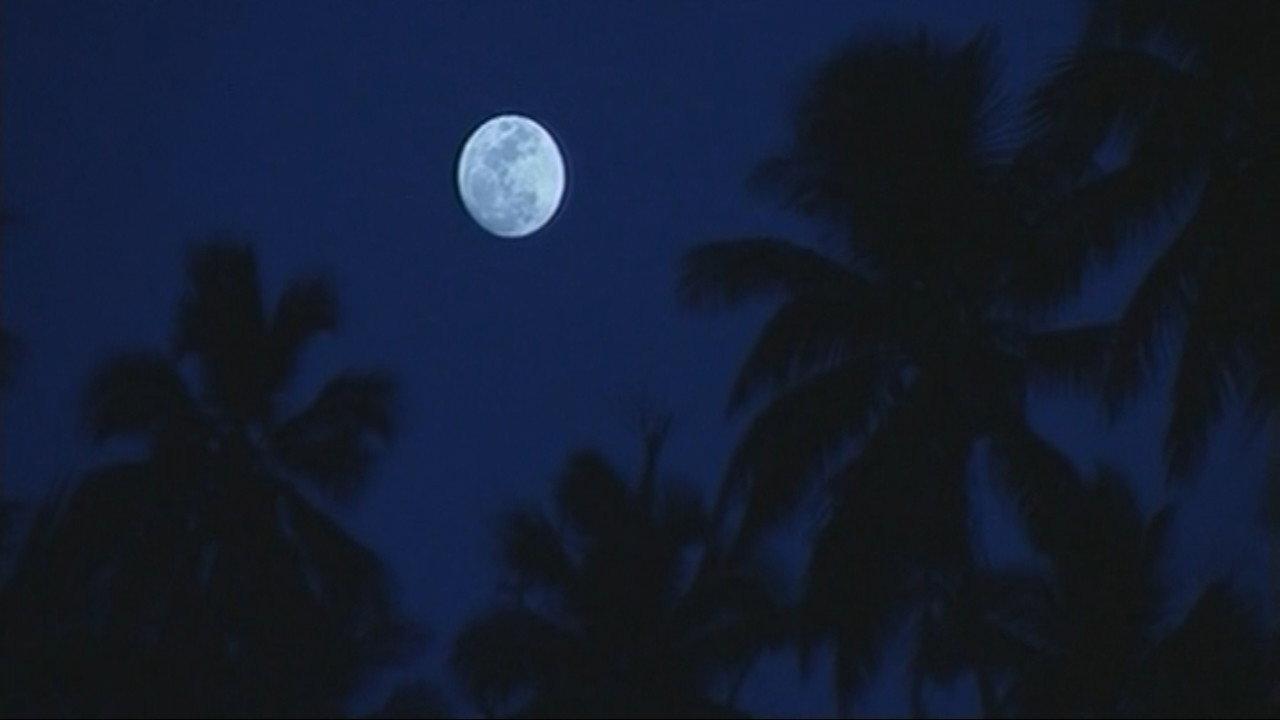 The Land Has Eyes 2004 movie scene