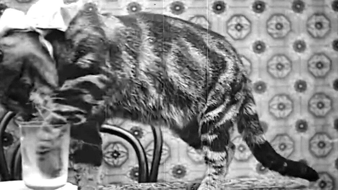 Pussy's Breakfast 1905 movie scene