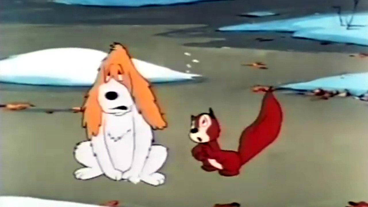 Squirrel Crazy 1950 movie scene