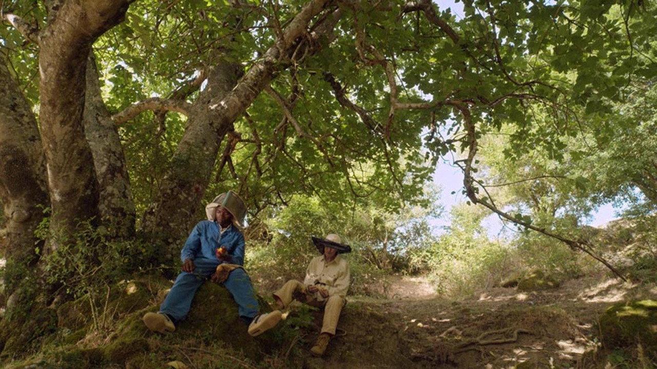 Queen Bee 2019 movie scene