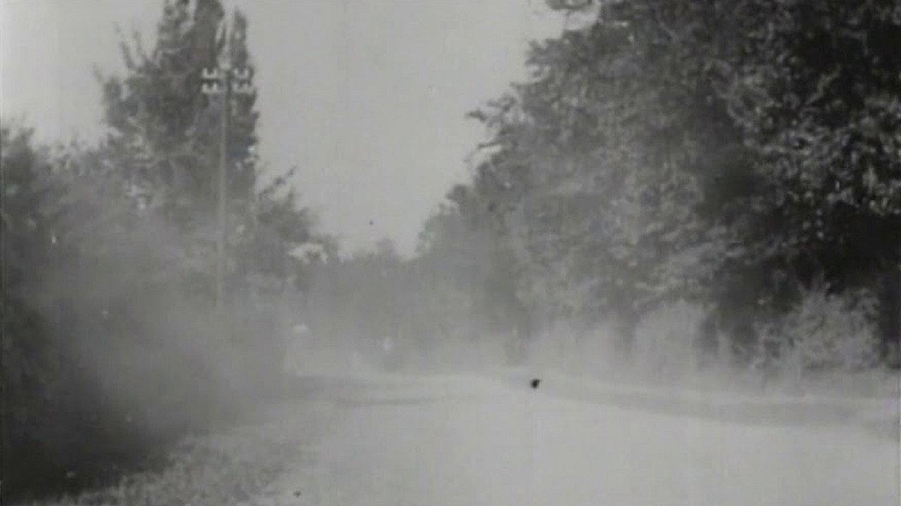 How It Feels to Be Run Over 1900 movie scene