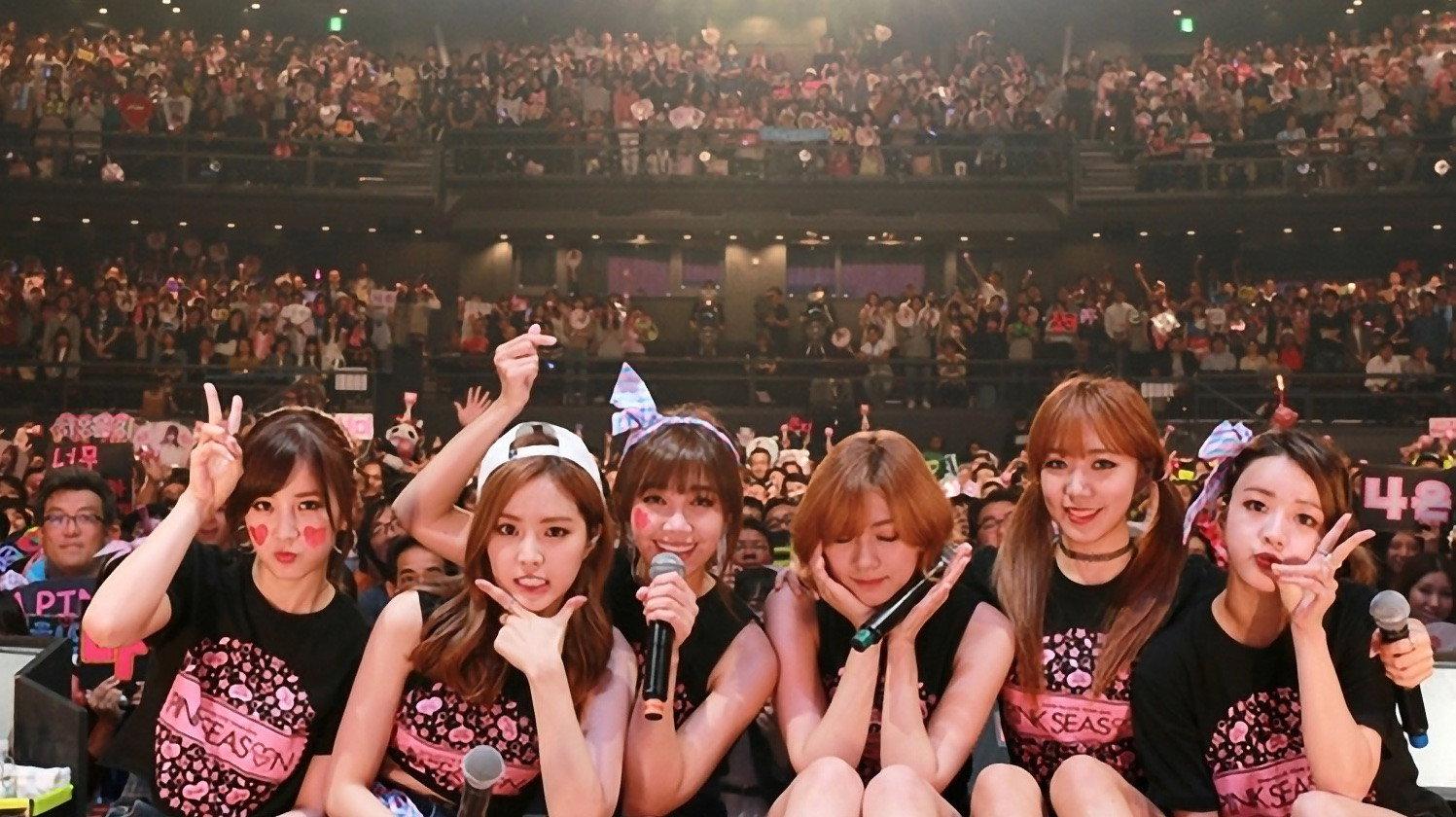 Apink 1st LIVE TOUR 2015 ~PINK SEASON~ 2015 movie scene