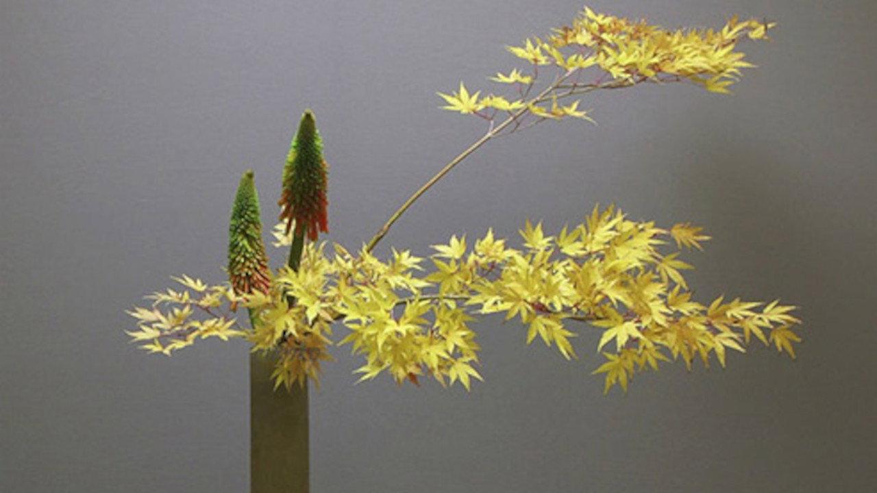 Ikebana 1957 movie scene