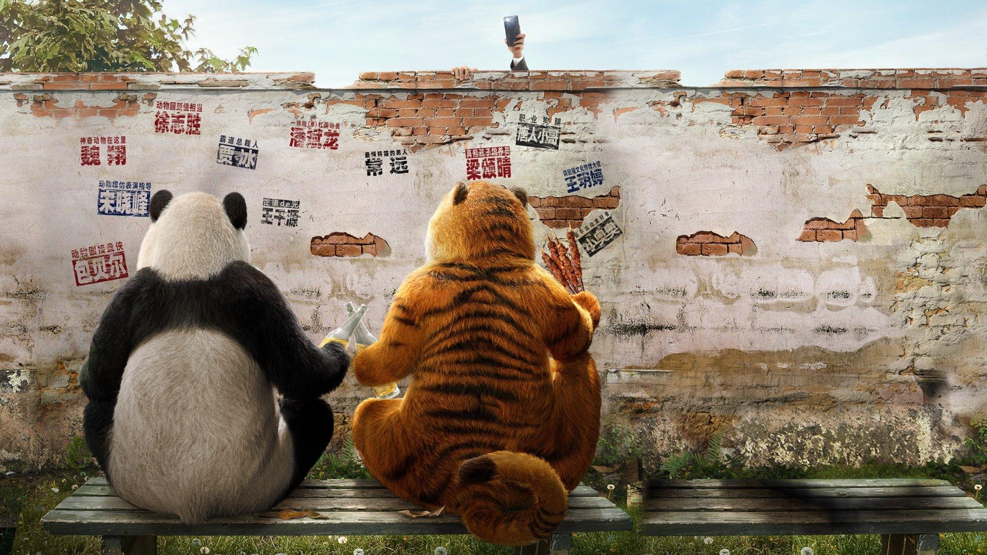 Follow Bear to Adventure 2024 movie scene