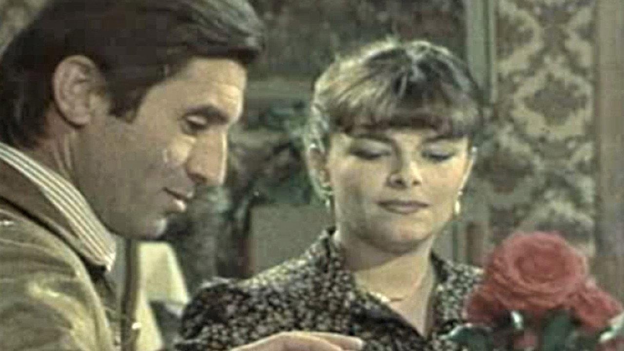 The Adventures of Borivoje Surdilovic 1980 movie scene